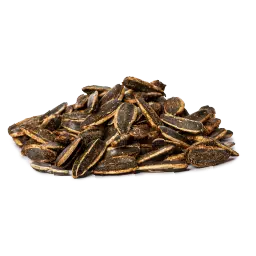 لب دوار الشمس - مدخن