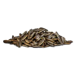 لب دوار الشمس - ملح وخل