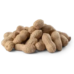 سوداني بالقشر بدون ملح